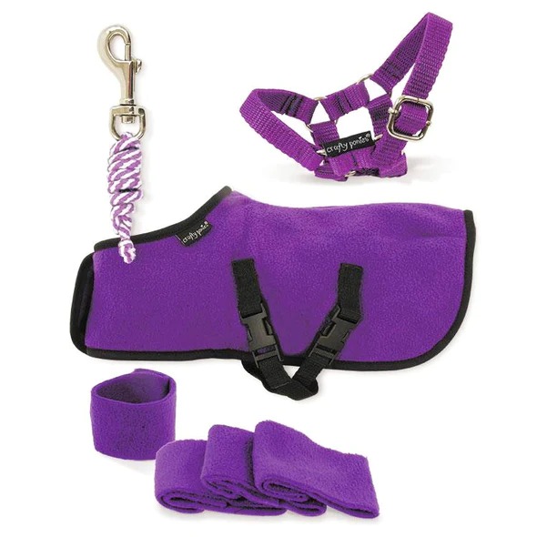 Crafty Ponies - Fleecedecken Set für Kuschelpferde lila
