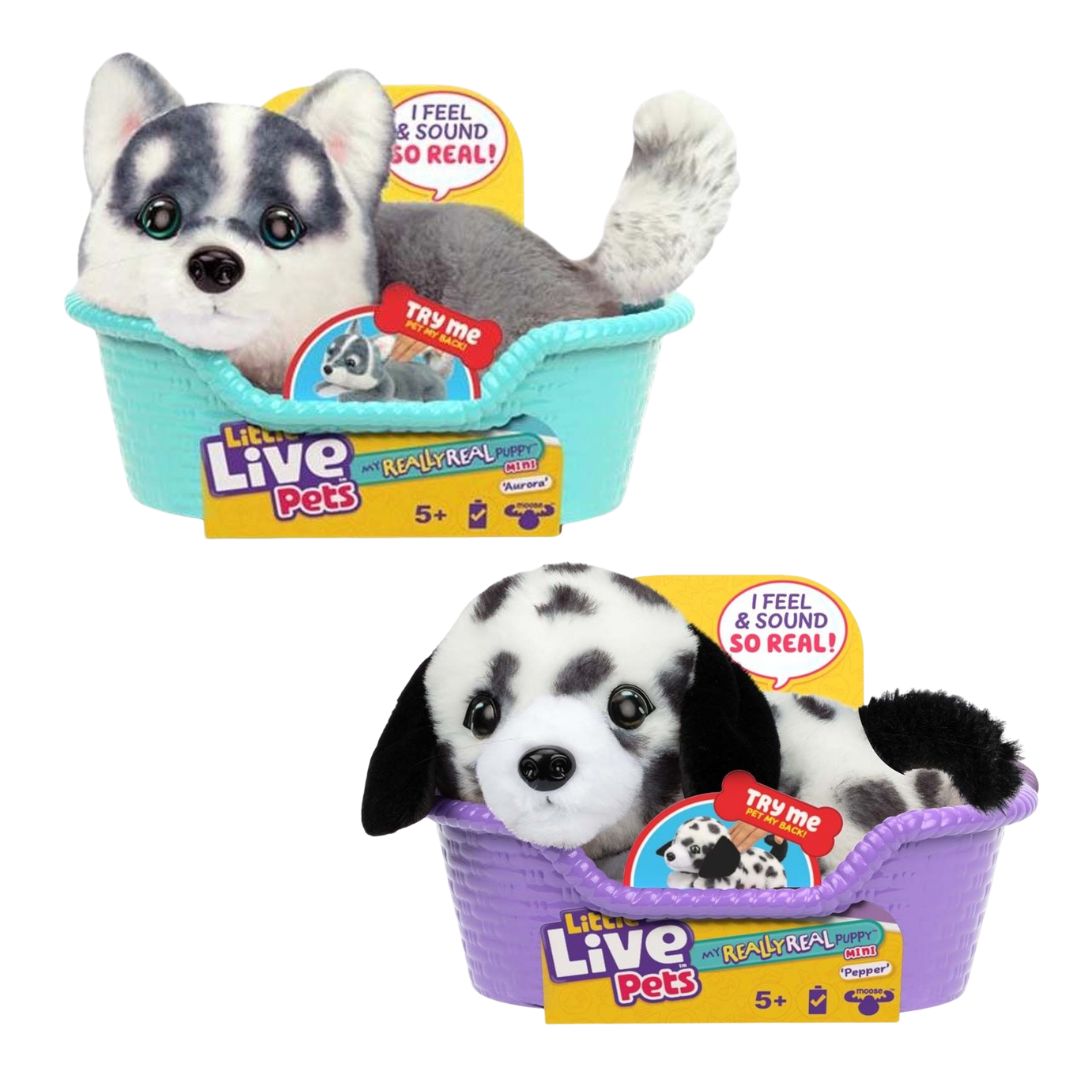 Little Live Pets - Mini-Welpen: My Really Real Puppy Mini