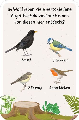 moses - 50 Entdeckerkarten: Suchspiele in der Natur